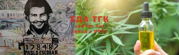 стаф Осинники