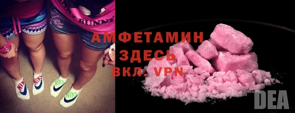 стаф Осинники