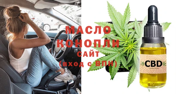 индика Армянск
