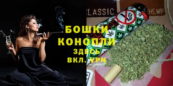 стаф Осинники