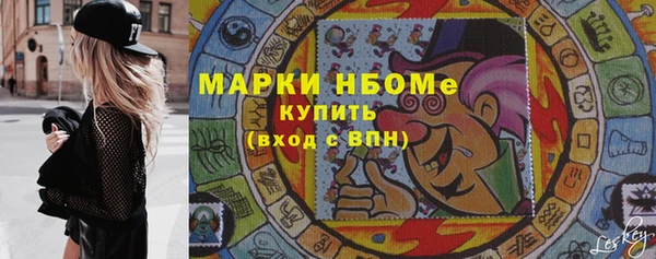 стаф Осинники