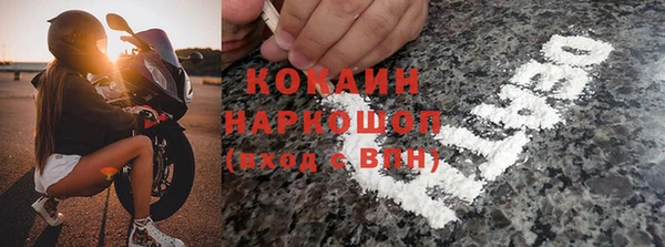 стаф Осинники