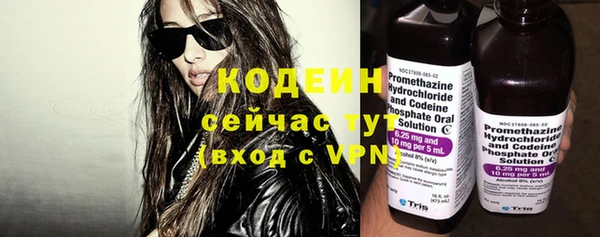 стаф Осинники