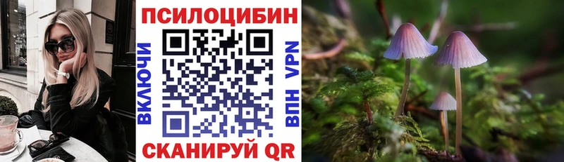 закладки  Серафимович  Псилоцибиновые грибы MAGIC MUSHROOMS 
